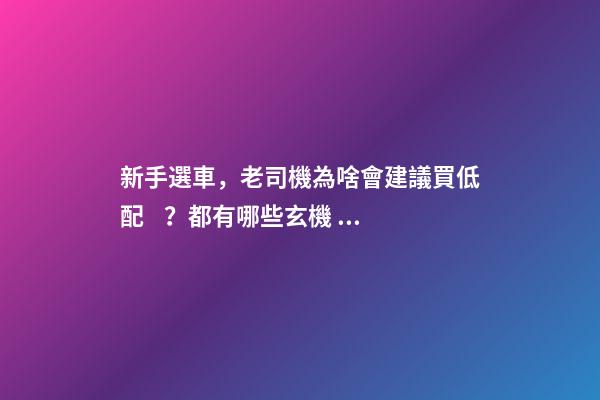 新手選車，老司機為啥會建議買低配？都有哪些玄機？